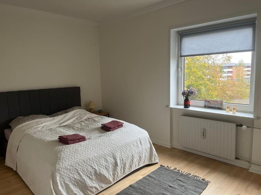 Stor Og Lys Lejlighed I Hjertet Af Holstebro Esterno foto