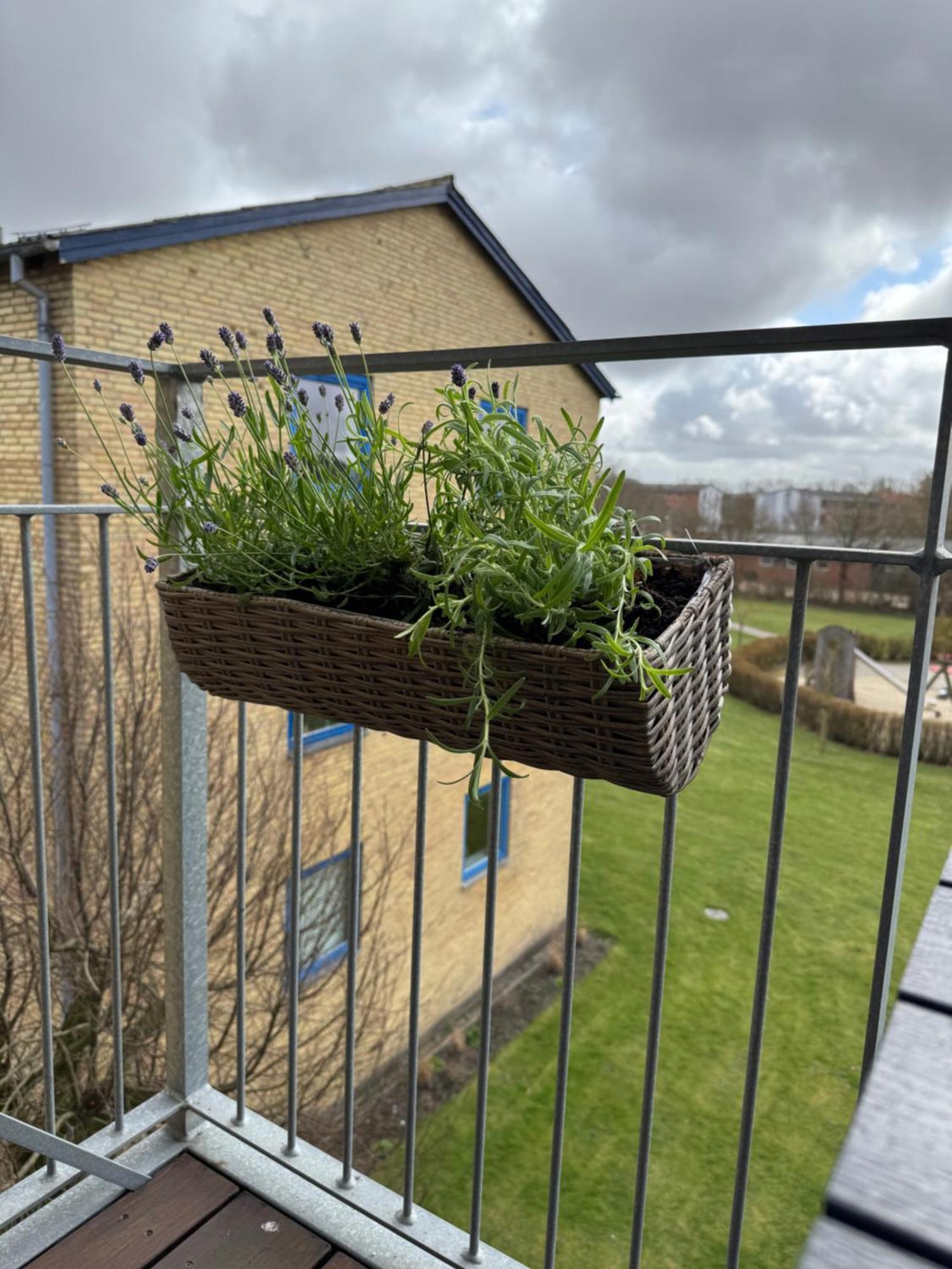 Stor Og Lys Lejlighed I Hjertet Af Holstebro Esterno foto